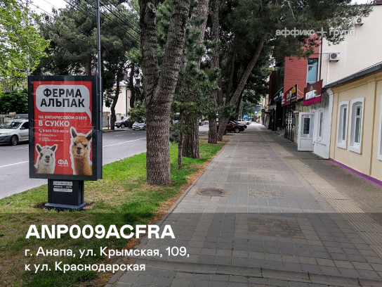 Рекламная поверхность ANP009ACFRA